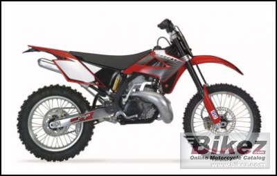 2008 GAS GAS MC 250 Cross photo